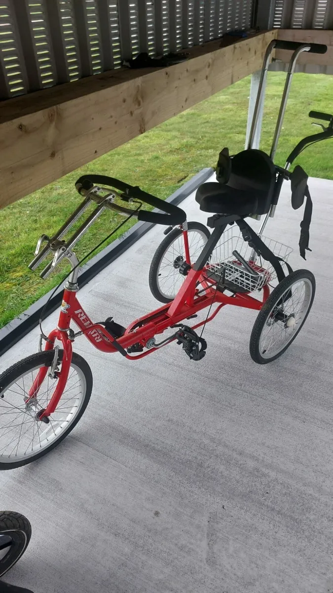 Special needs trike - Image 1