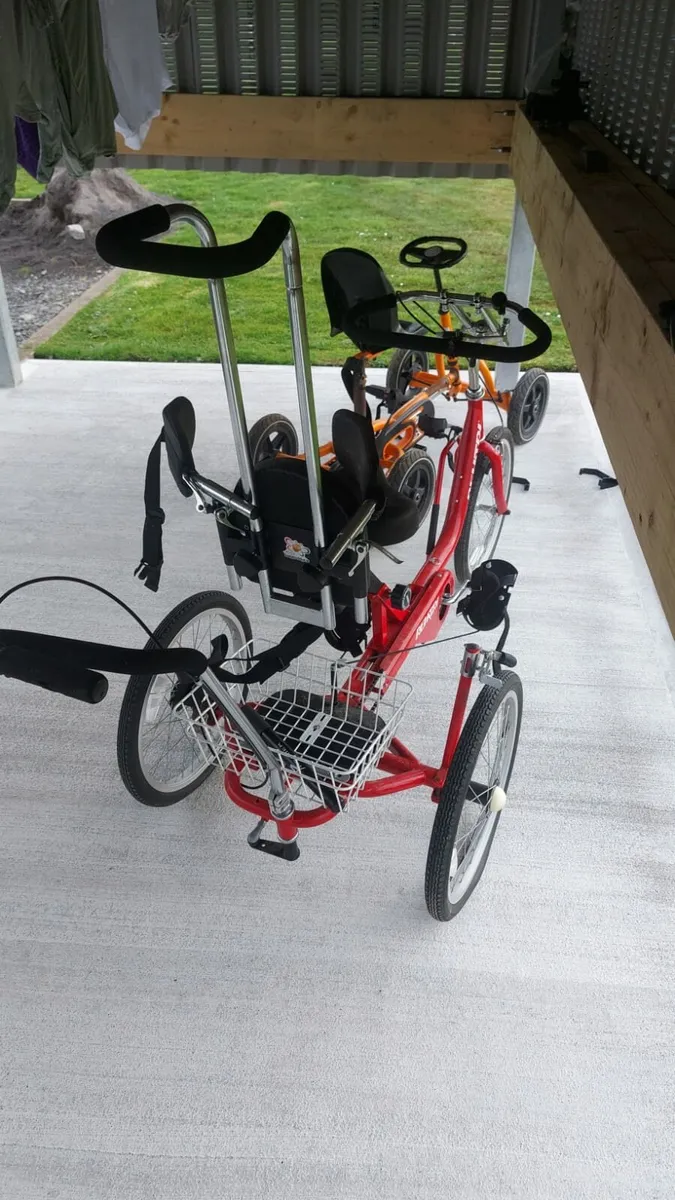 Special needs trike - Image 2