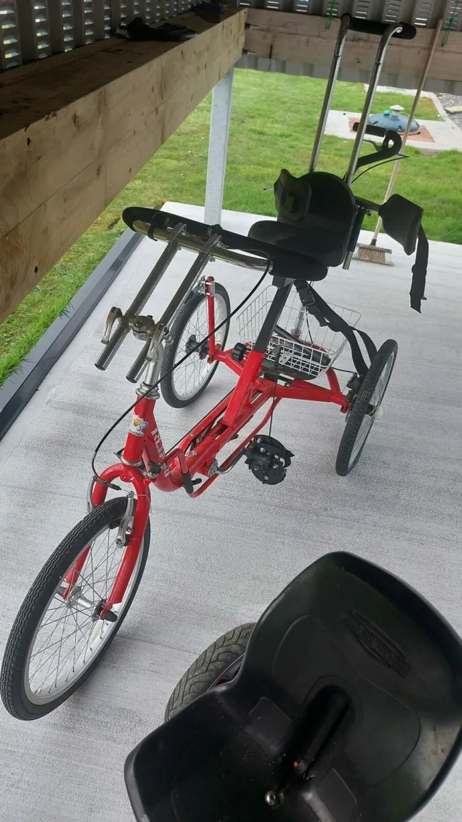 Special needs trike - Image 3