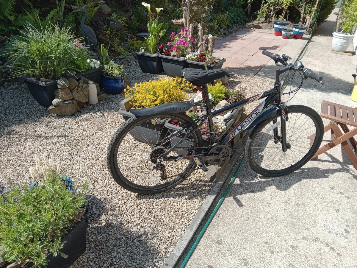 Bicycle - Image 4