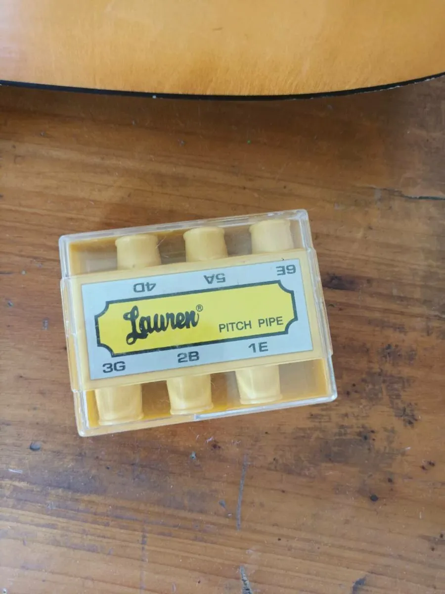Beginners Guitar - Image 4