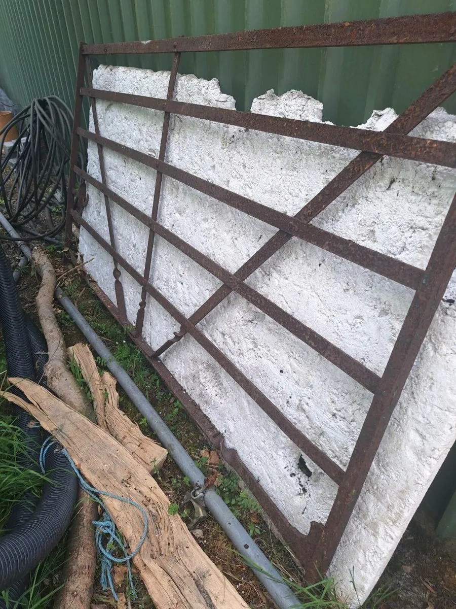 Wrought iron gate - Image 1