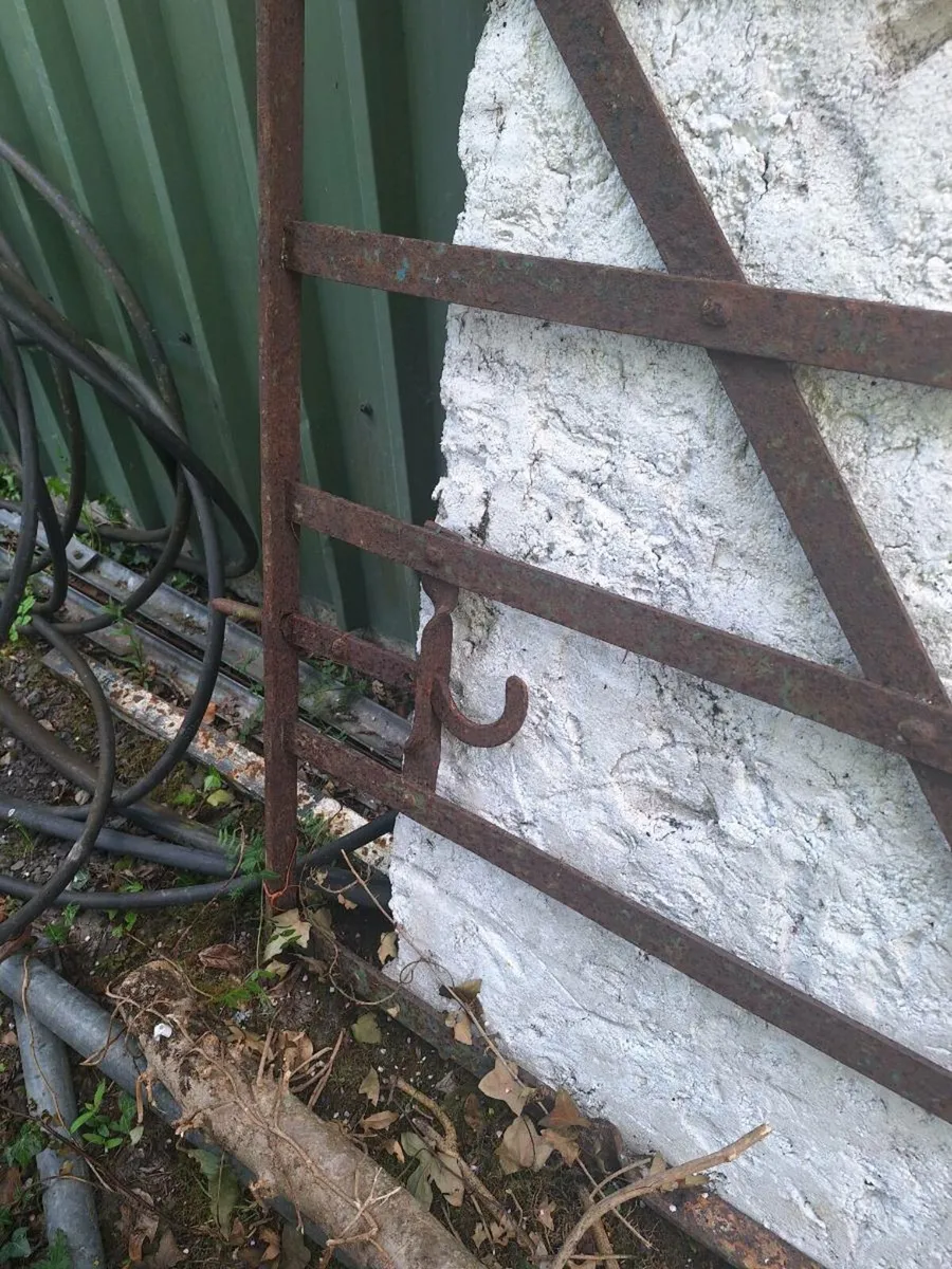 Wrought iron gate - Image 2