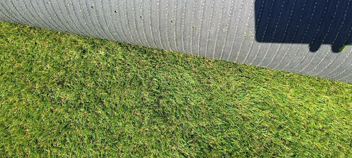 ARTIFICIAL GRASS Back in stock *5M WIDE ROLLS* ‼️ - Image 4