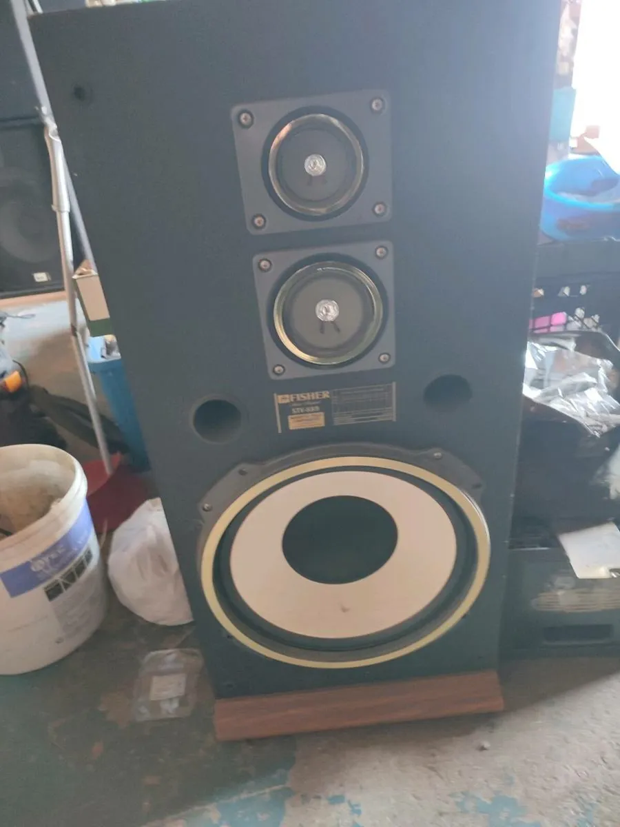 Speaker - Image 1