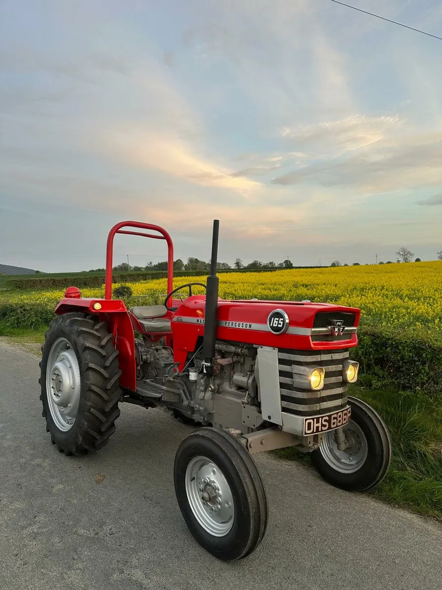 Massey ferguson 165 - Image 1