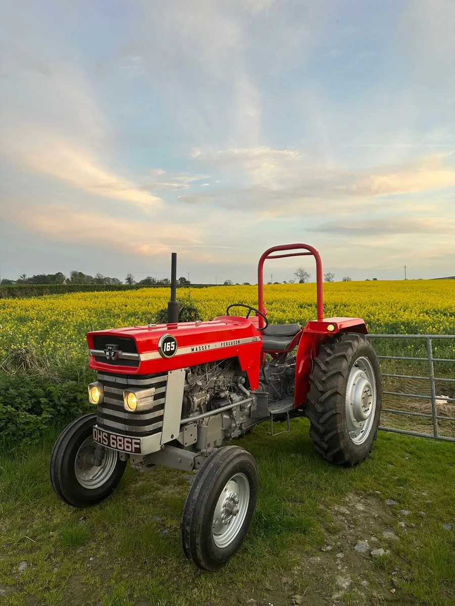 Massey ferguson 165 - Image 2