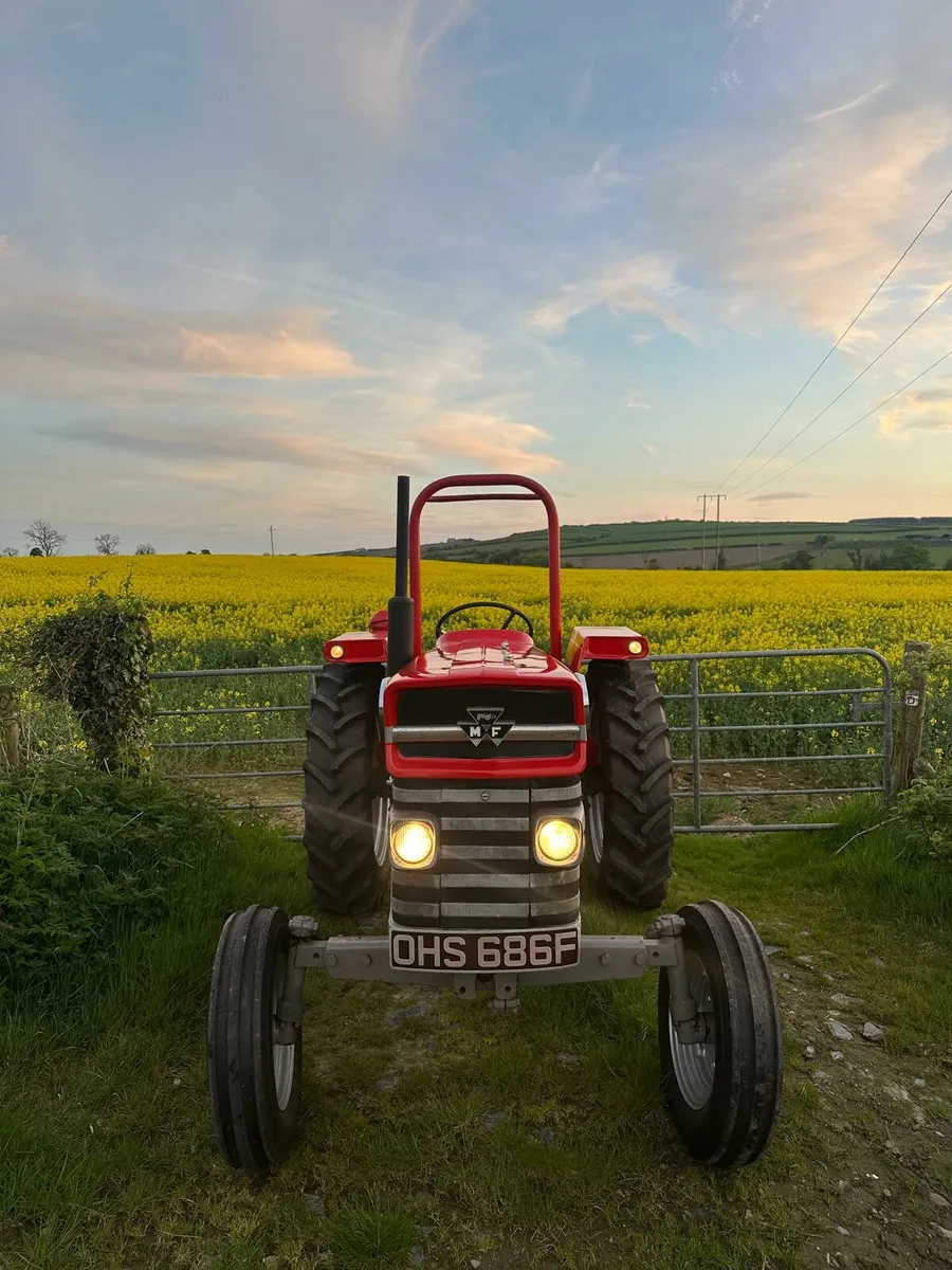 Massey ferguson 165 - Image 3