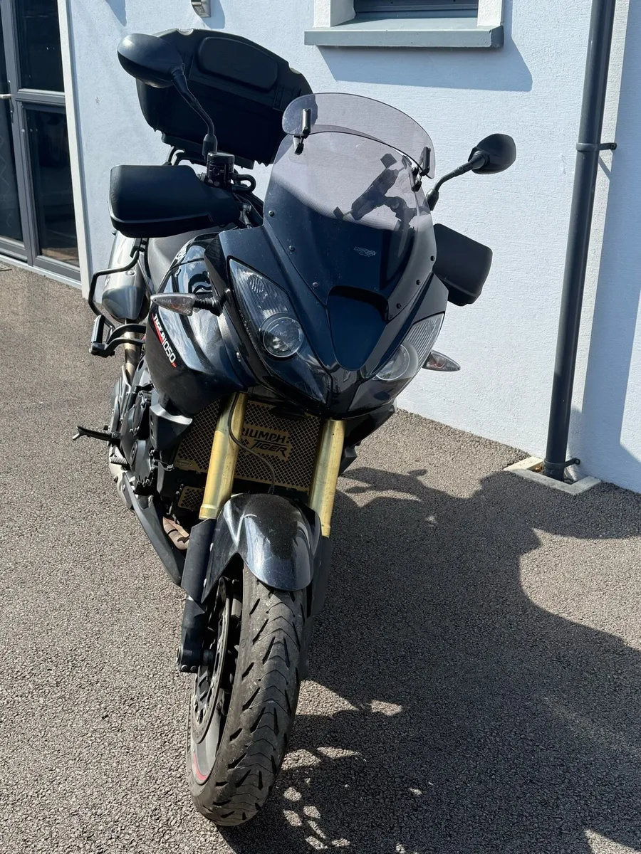 Triumph Tiger 1050 - Image 1