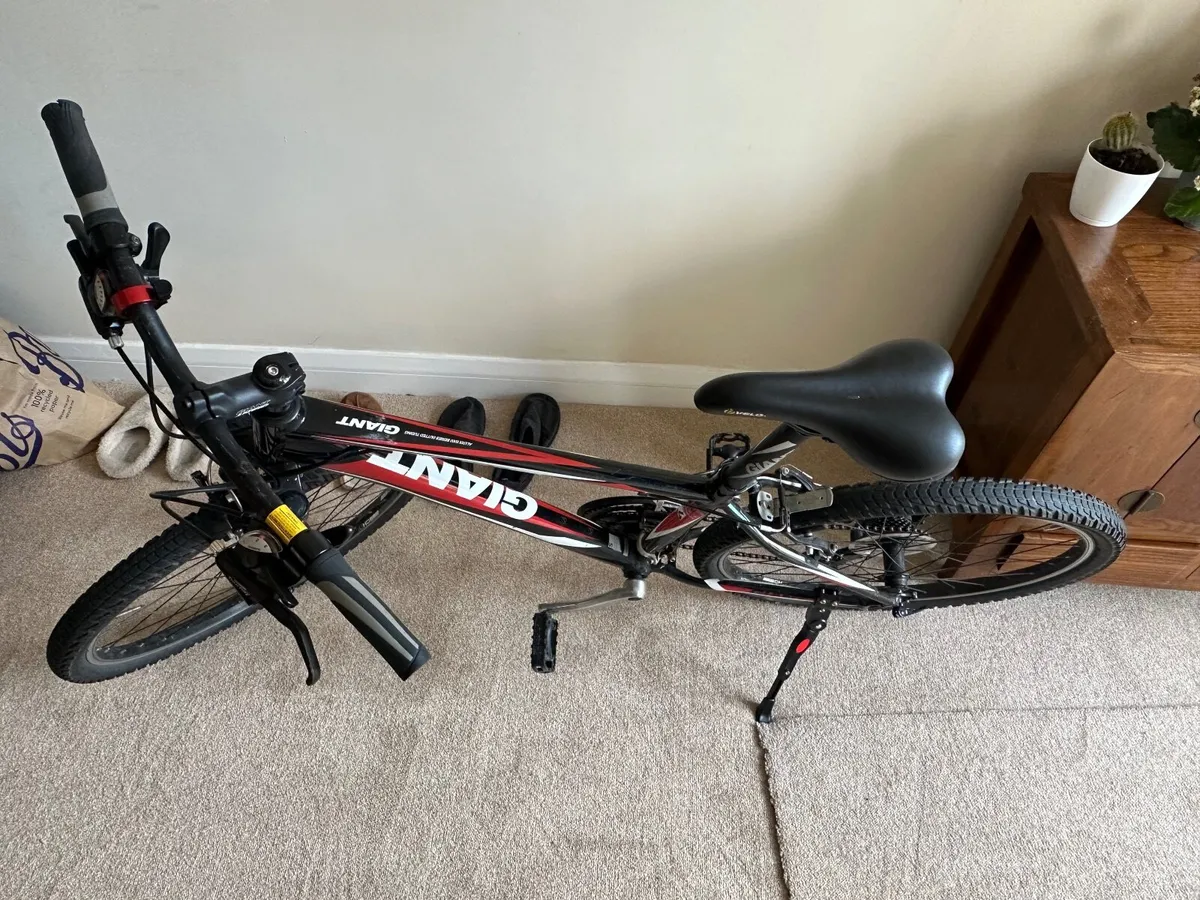Bicycle - Image 3