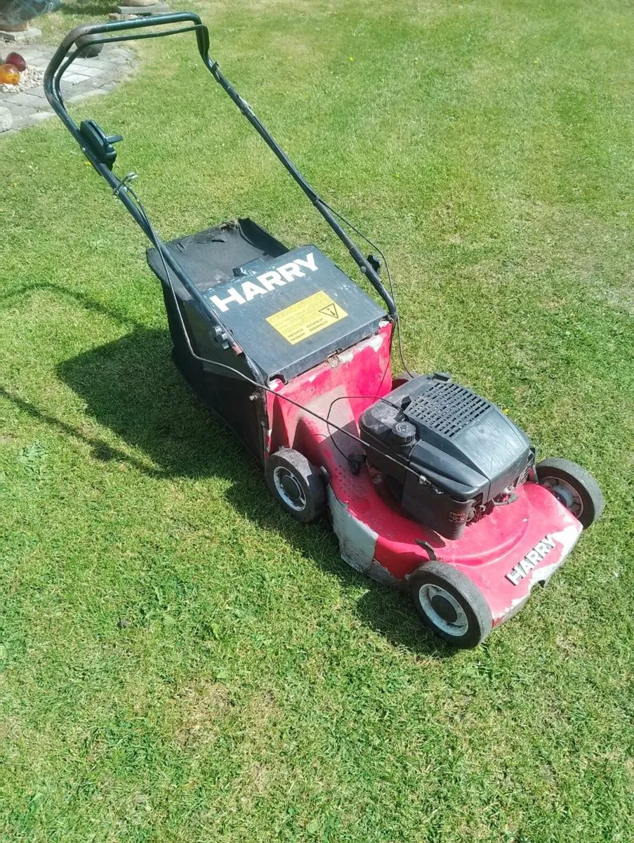 Lawnmower (starts then cuts out) - Image 1