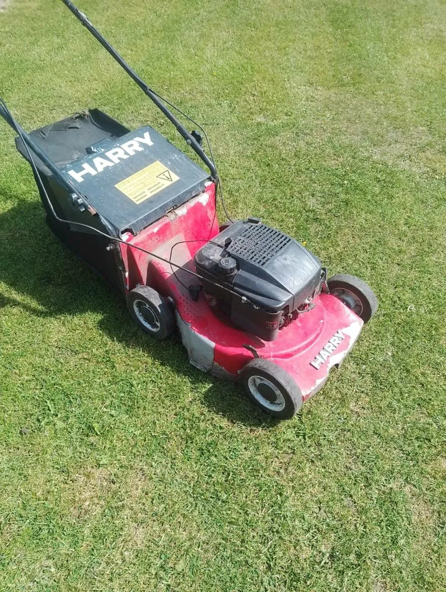 Lawnmower (starts then cuts out) - Image 3