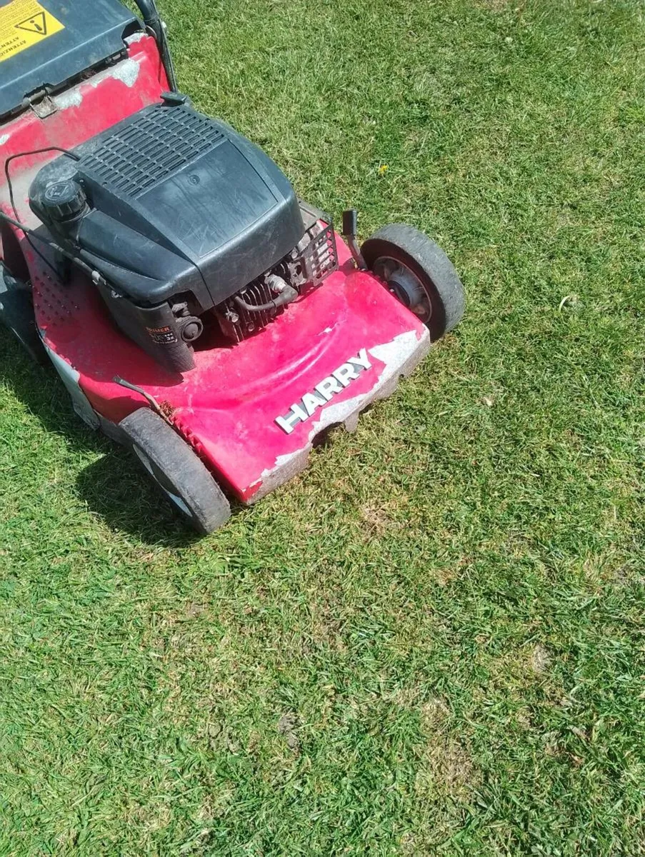 Lawnmower (starts then cuts out) - Image 4
