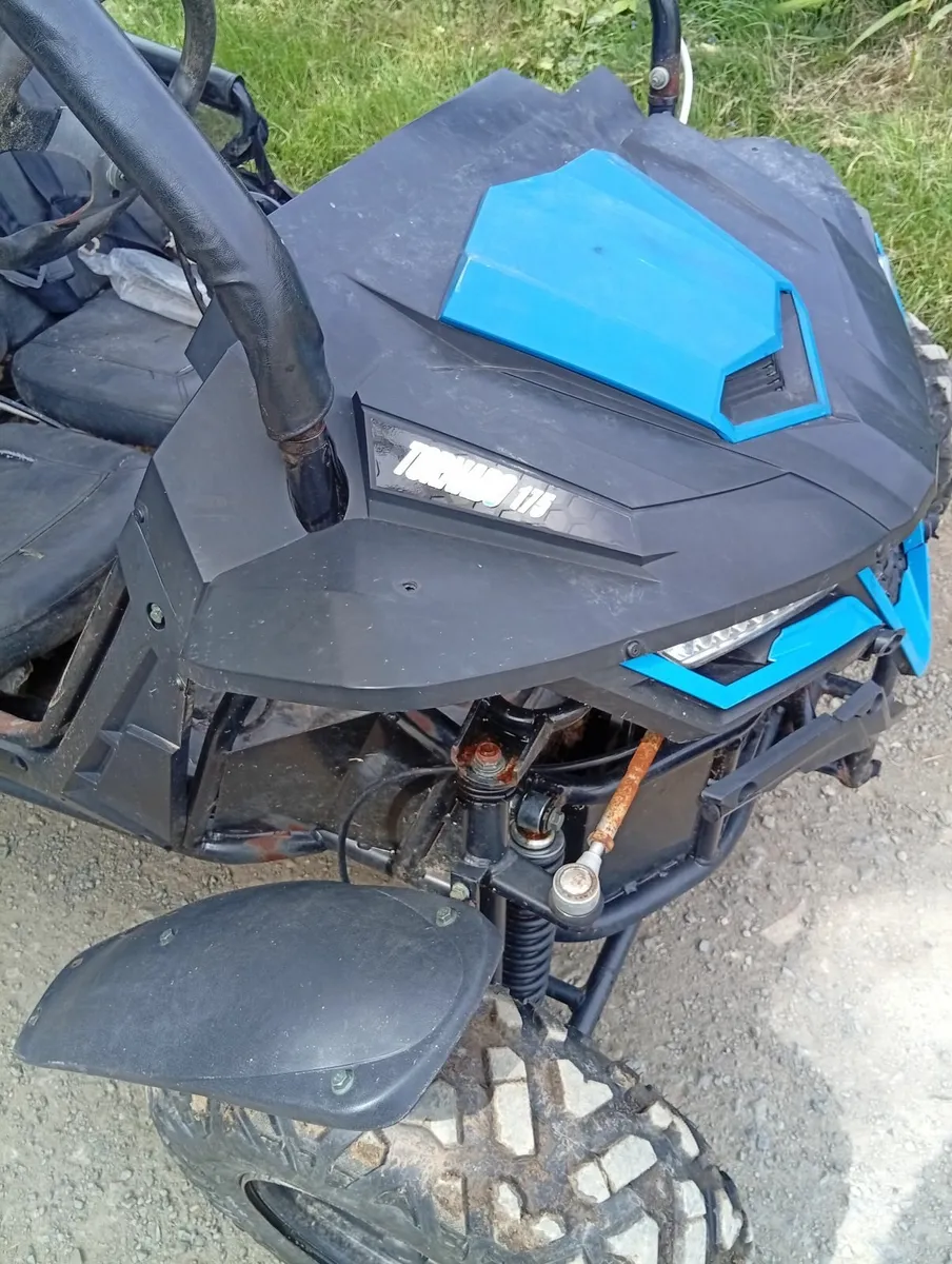 Buggy - Image 2