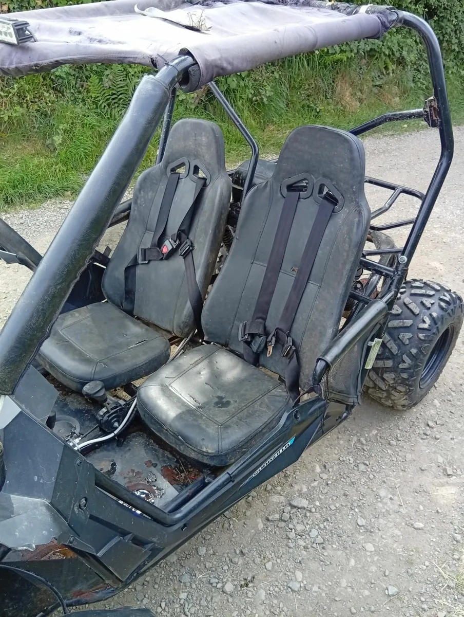 Buggy - Image 3
