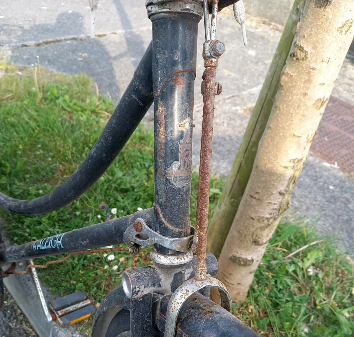 Old Bicycle - Image 4