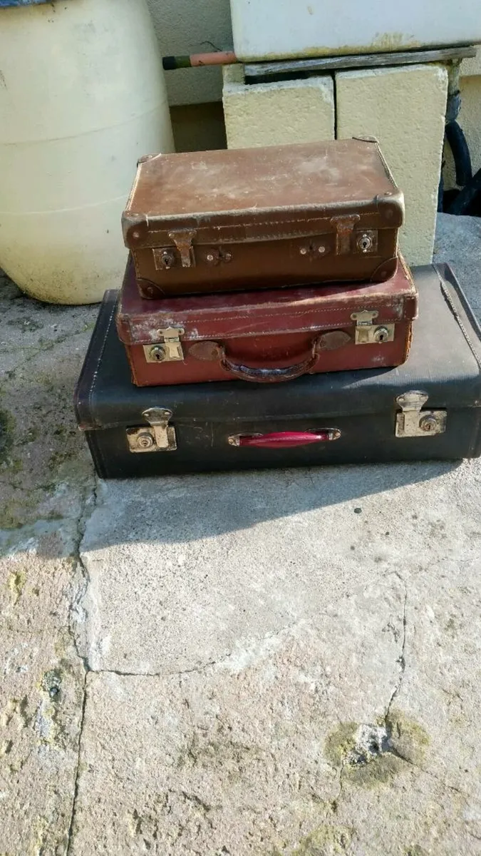 3. Vintage Cases - Image 1