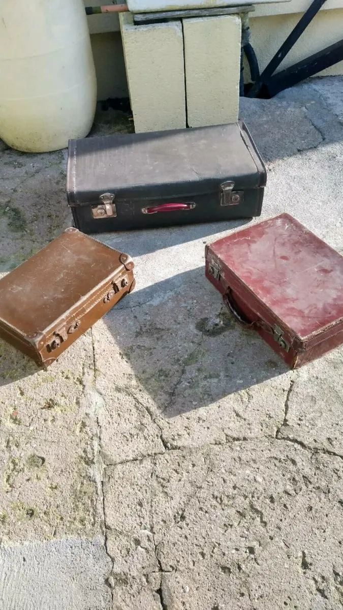 3. Vintage Cases - Image 2