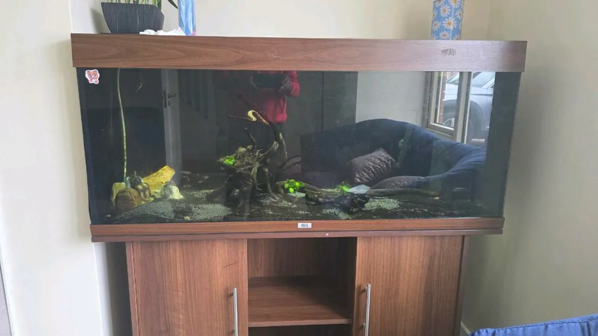 Juwel 450L aquarium - Image 1