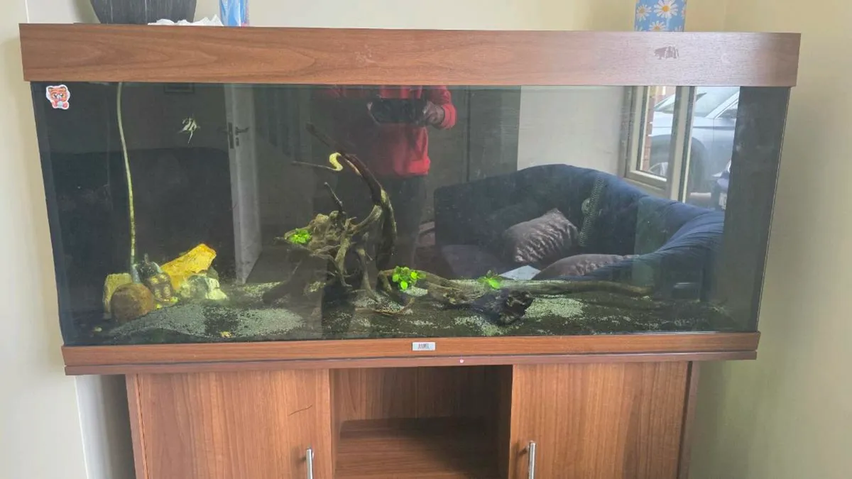 Juwel 450L aquarium - Image 2