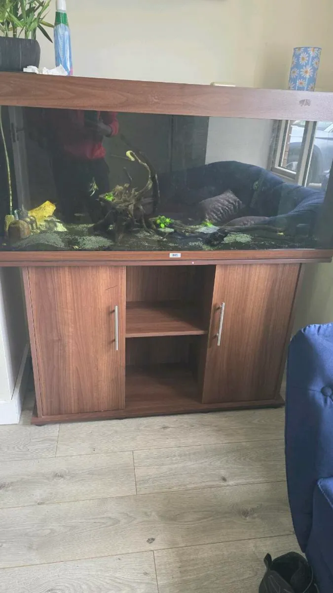 Juwel 450L aquarium - Image 3