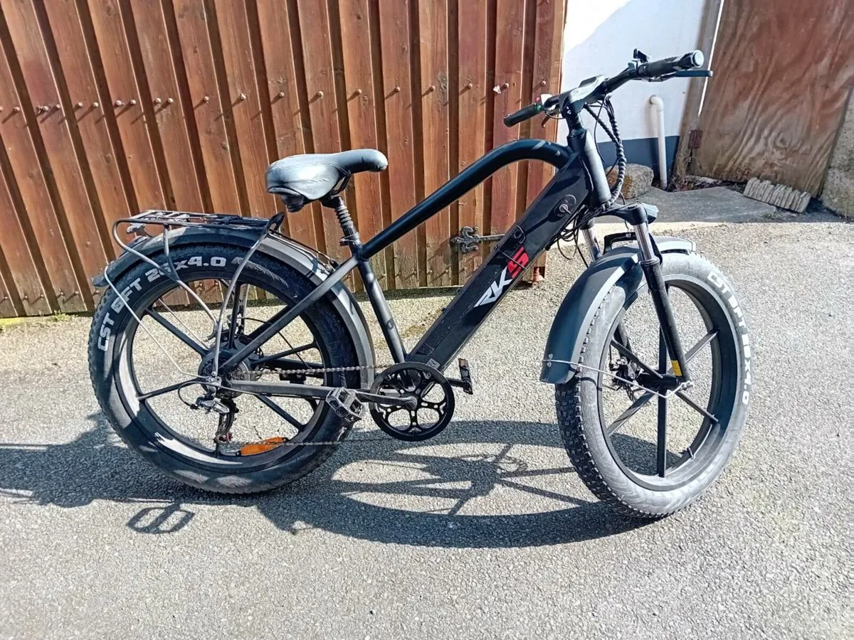 Electric bike - Image 1