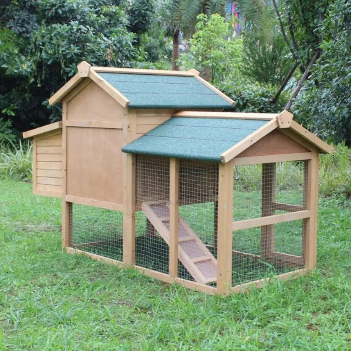 Eggtopia Chicken Coop – 2 – 4 Birds - Image 2