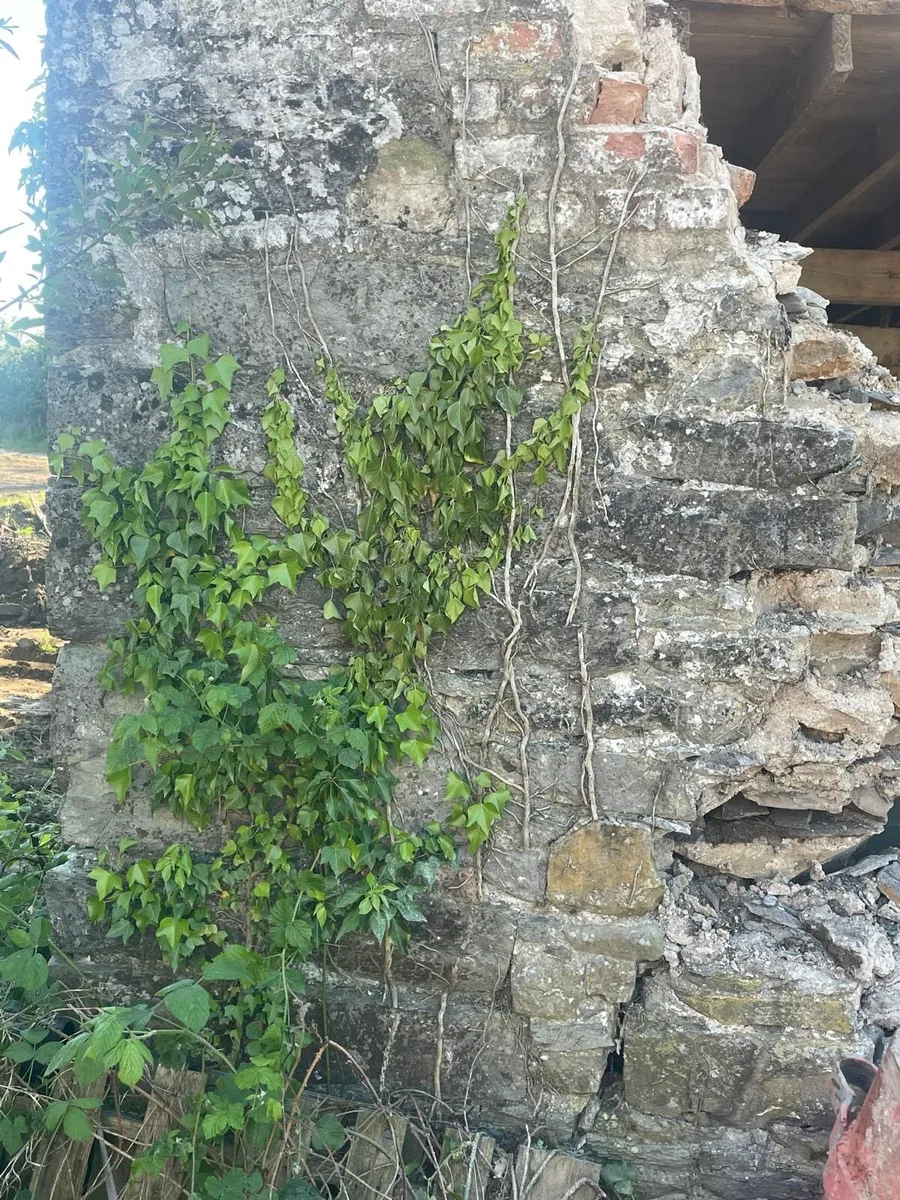 Old Barn Brick + Stone - Image 4