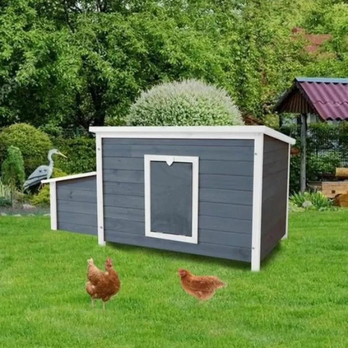 Captain Coop Chicken Coop – 6-8 Birds - Image 4
