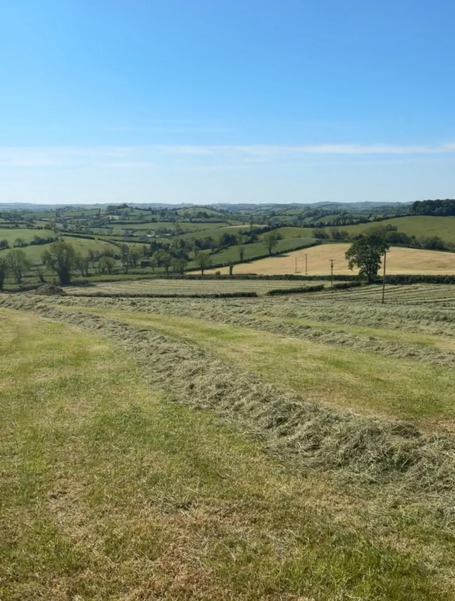 Hay bales - Image 1