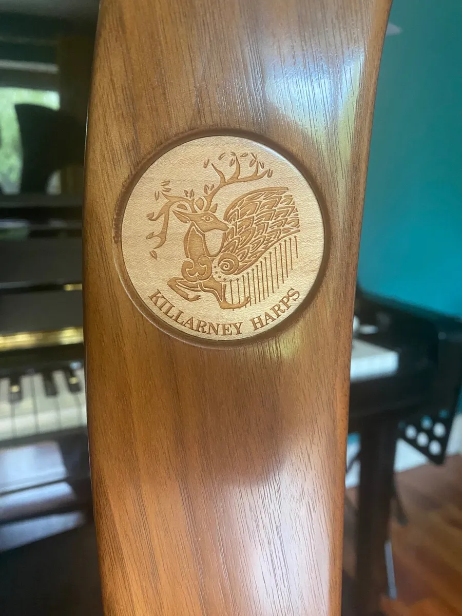 34 String Innisfallen Harp - Image 4