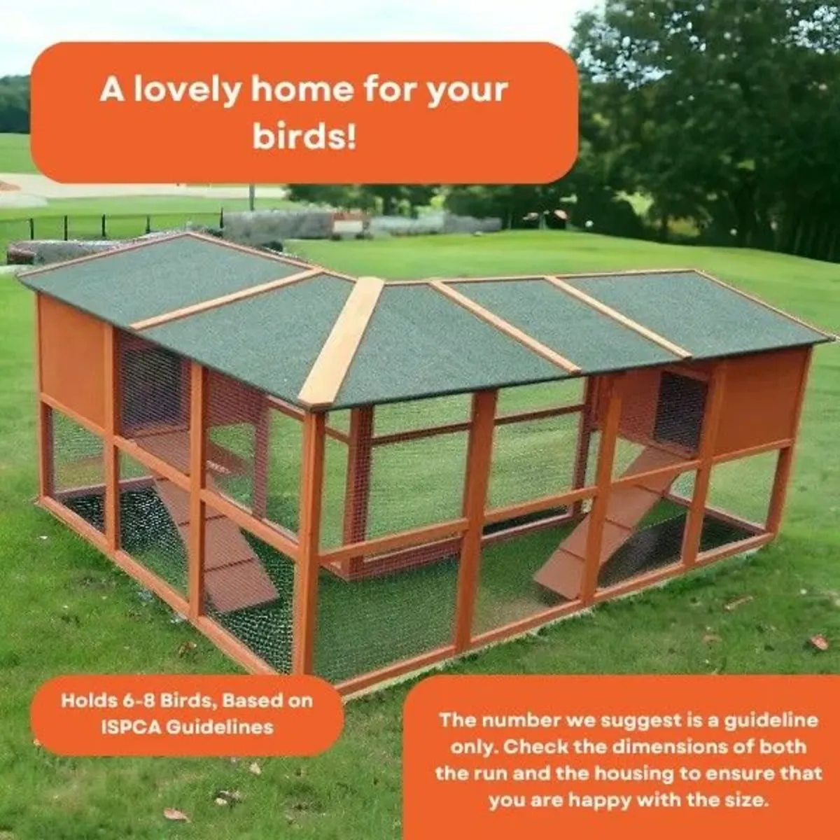 The Egg Plant Chicken Coop – 6-8 Birds - Image 3