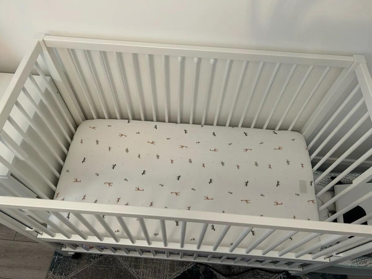 Cot - Image 2