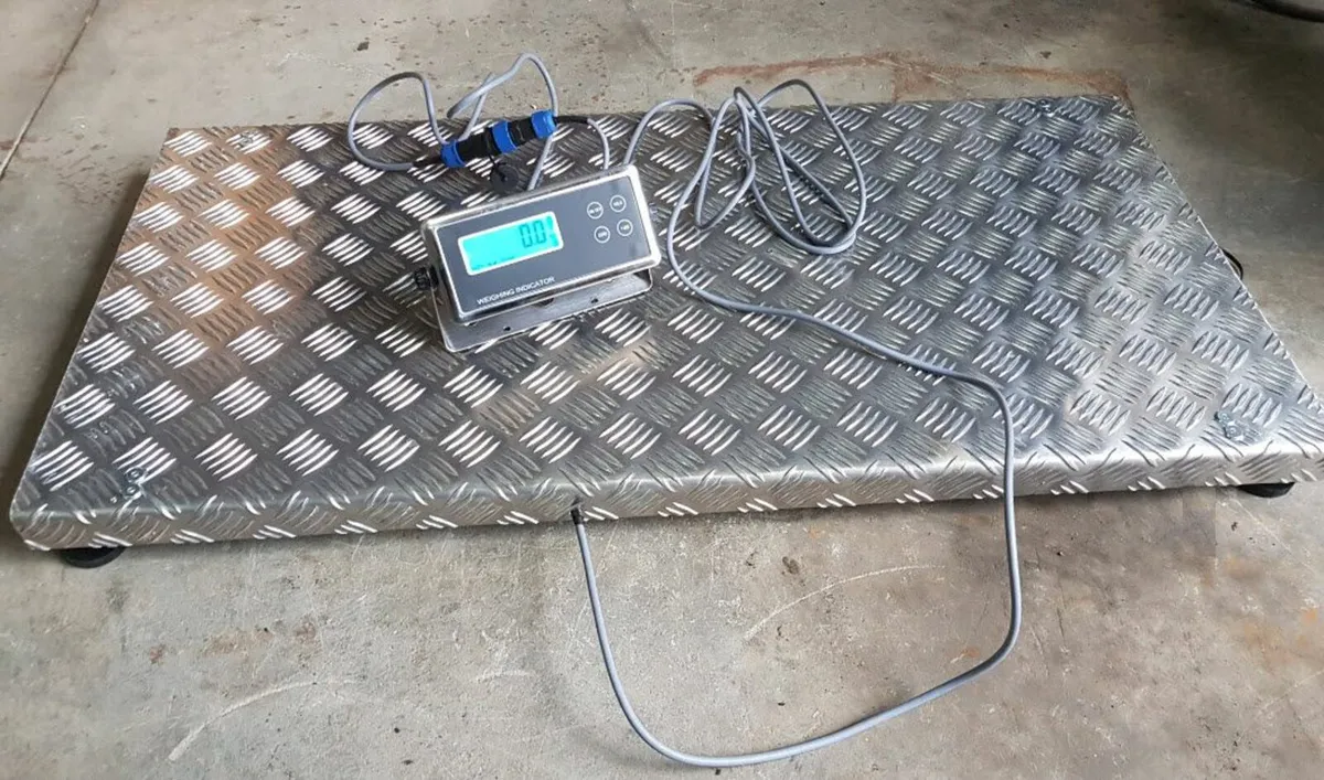 Platform scales 300kg - Image 3