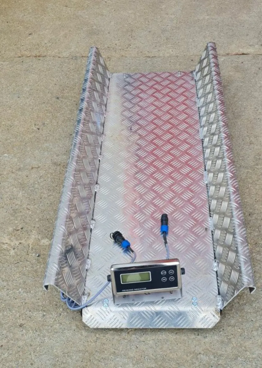 Platform scales 300kg - Image 1
