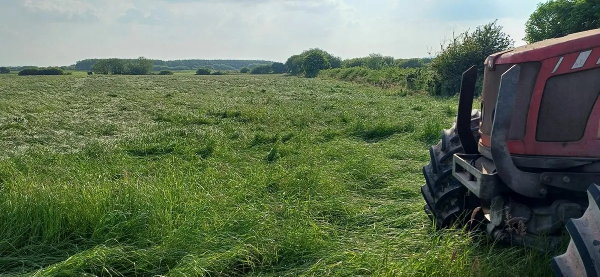 Quality Baled Silage - Image 2