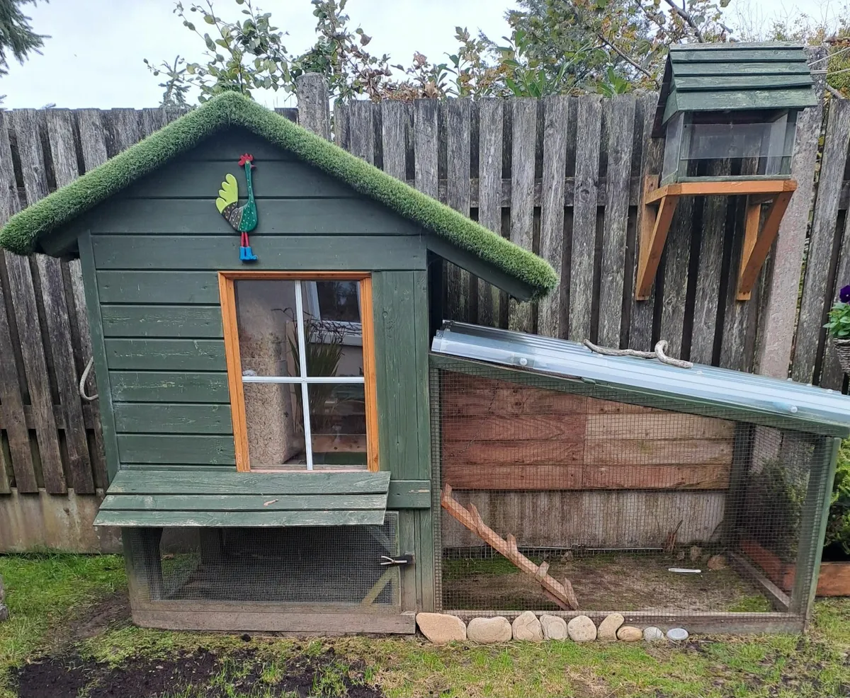 chicken coop - Image 1
