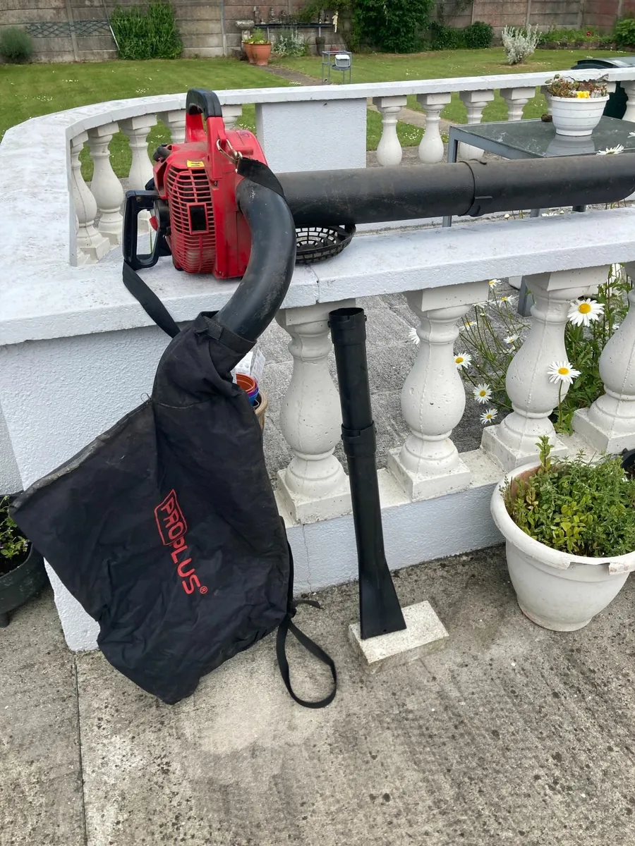 Proplus blower vac - Image 1