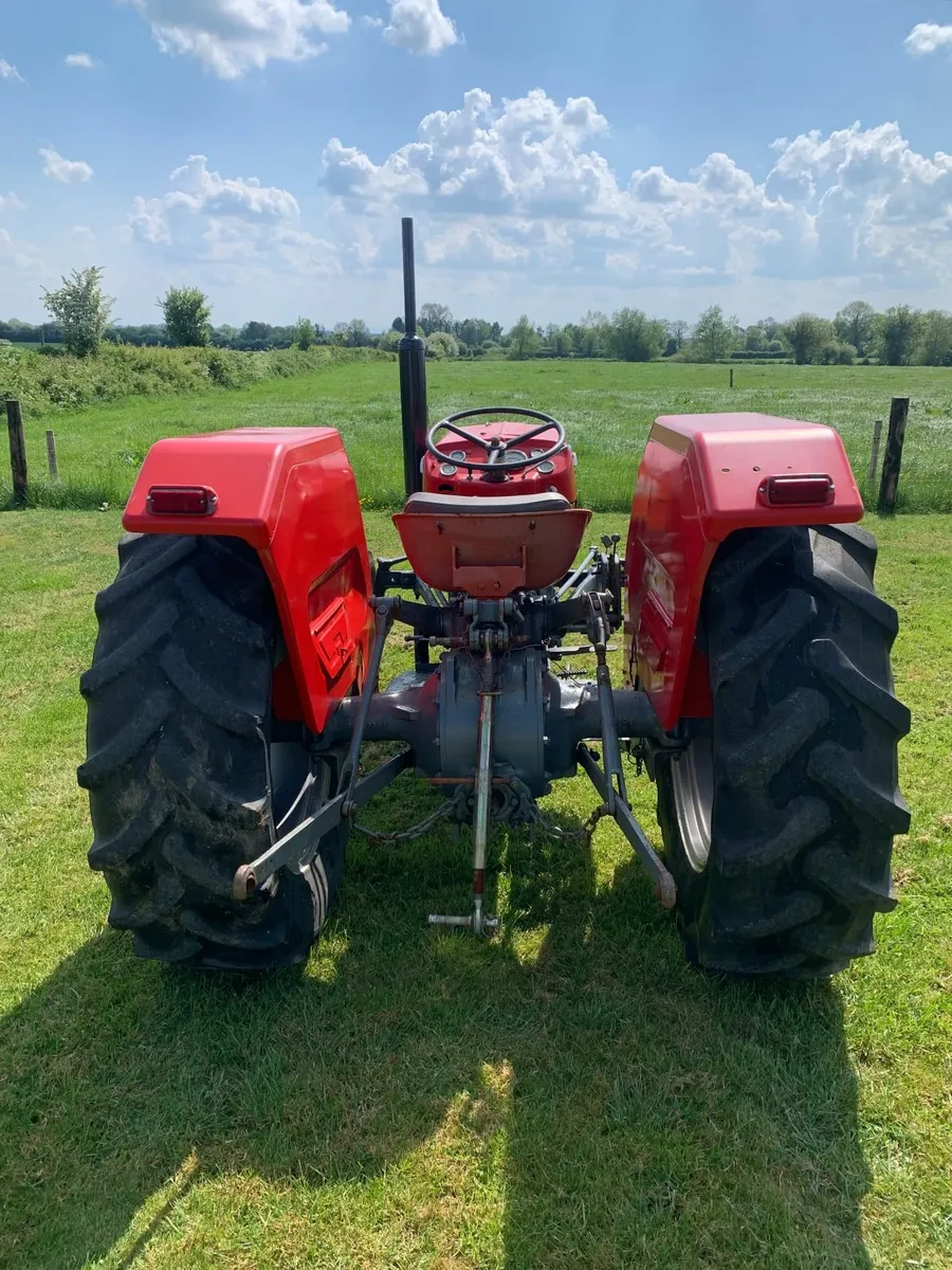 Massey Ferguson 135 - Image 2