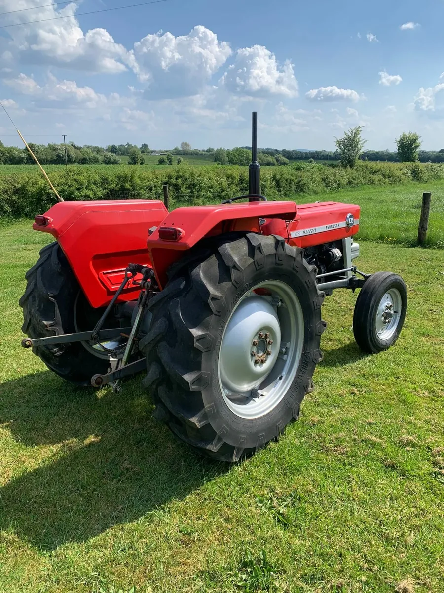 Massey Ferguson 135 - Image 4