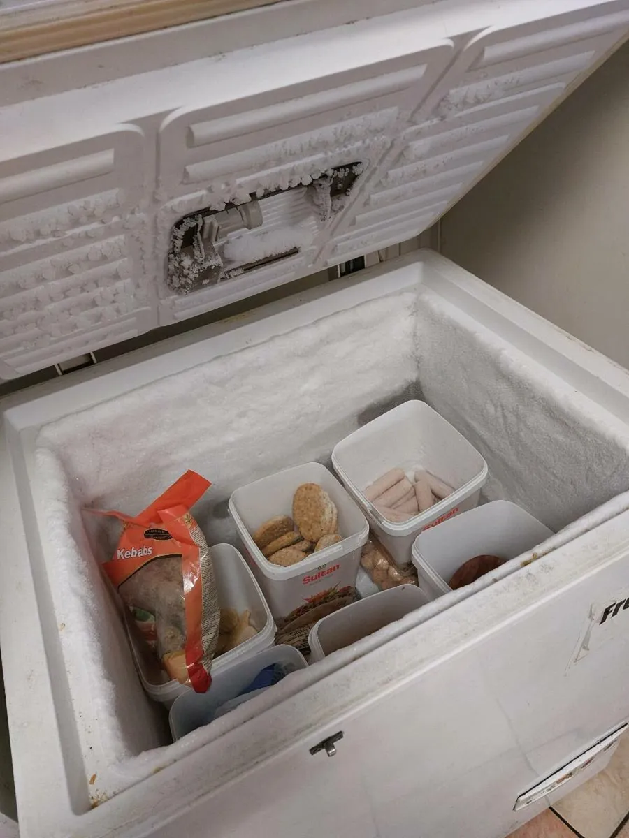 FREEZER - Image 1
