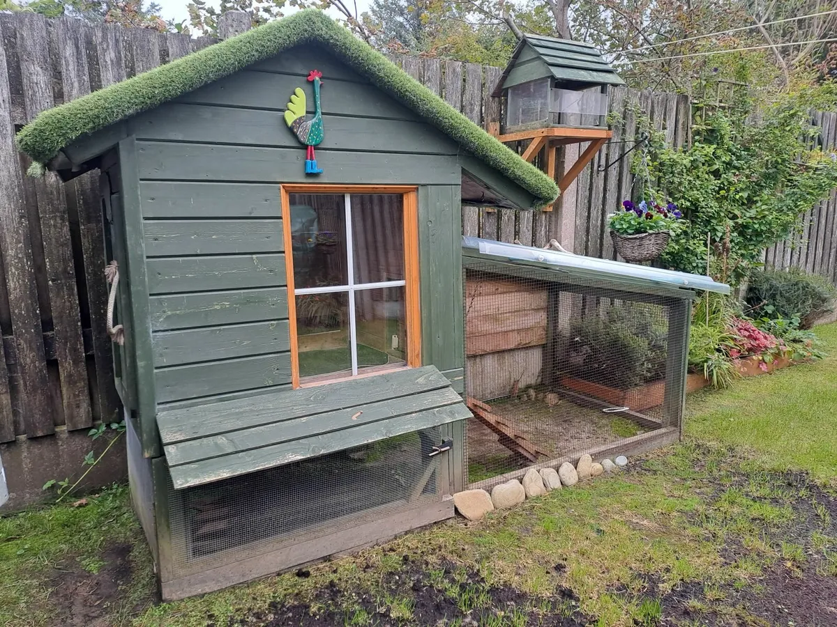chicken coop - Image 2