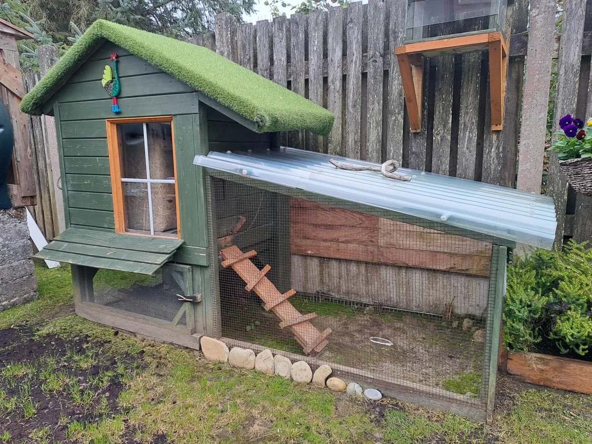 chicken coop - Image 3
