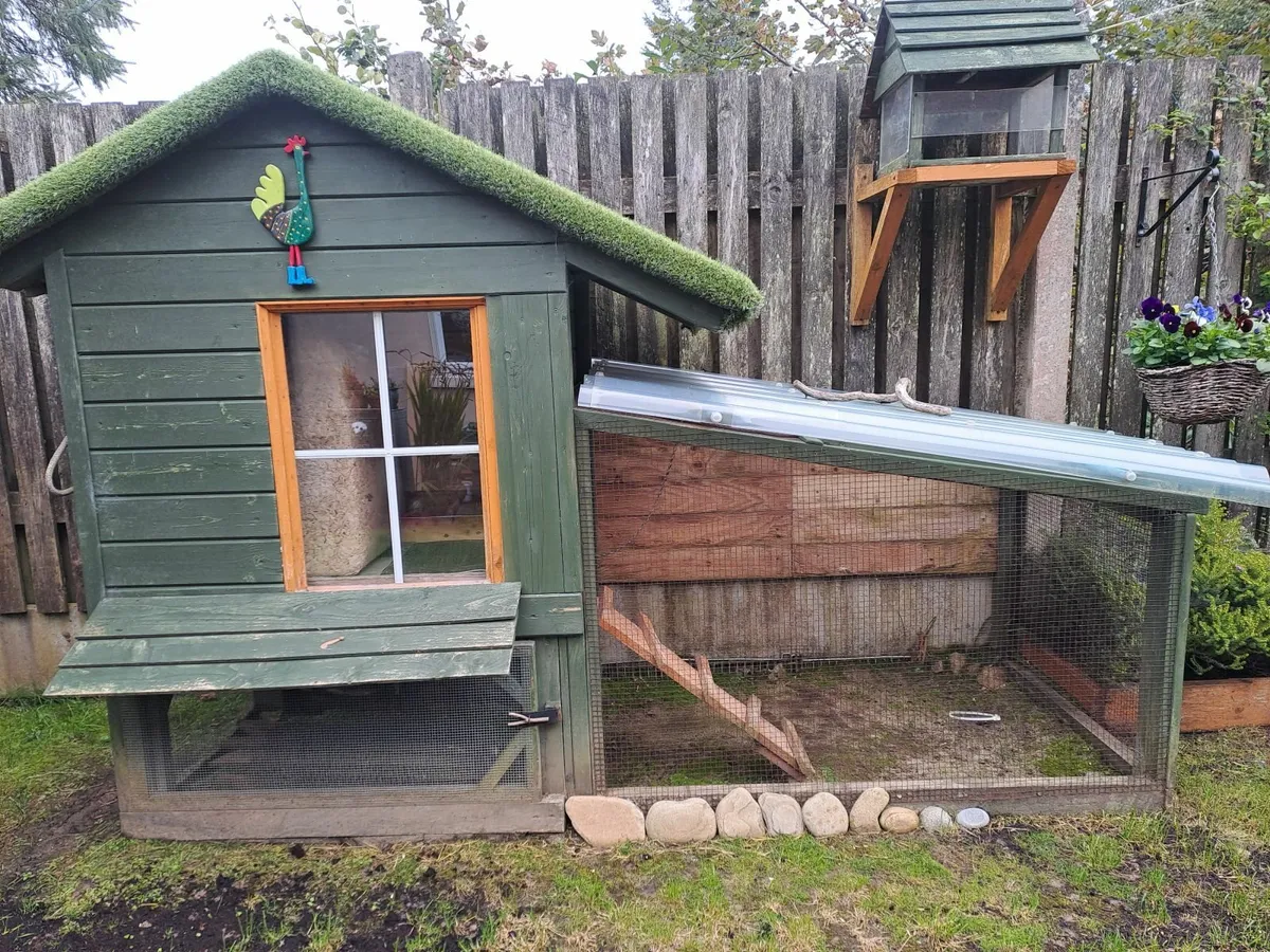 chicken coop - Image 4