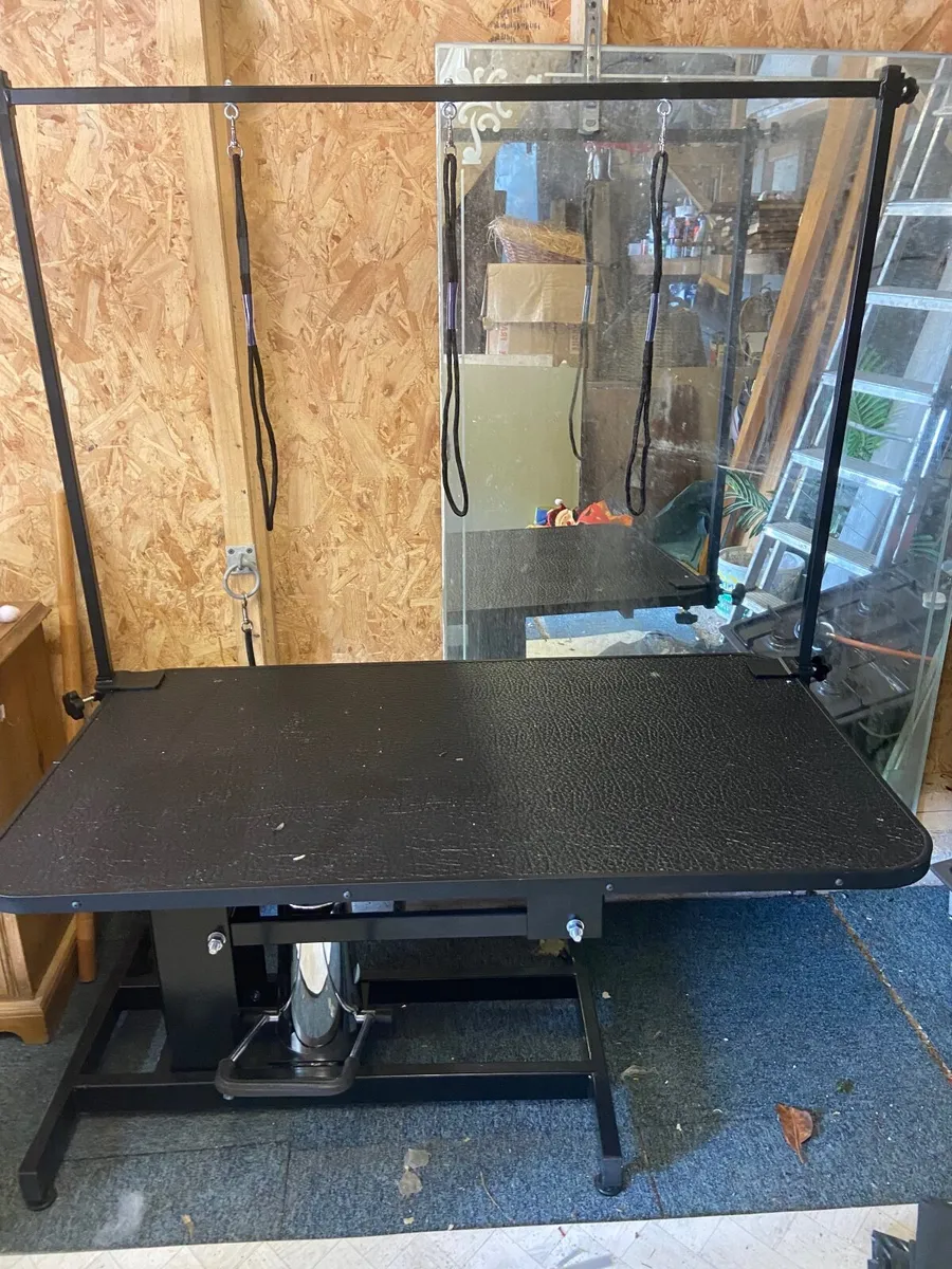 Hidrotic grooming table - Image 2
