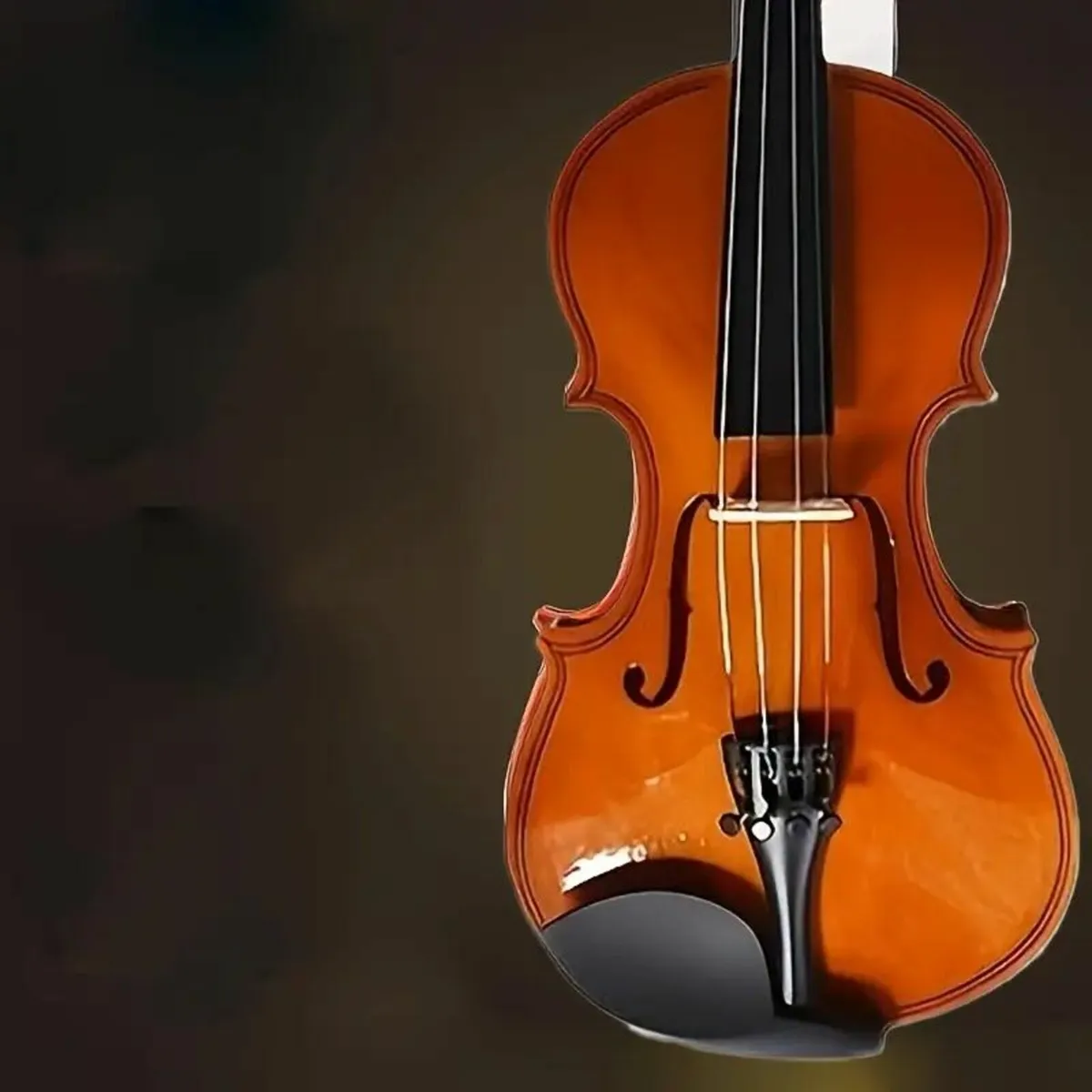 Professional Performance-Level Violin - Image 1
