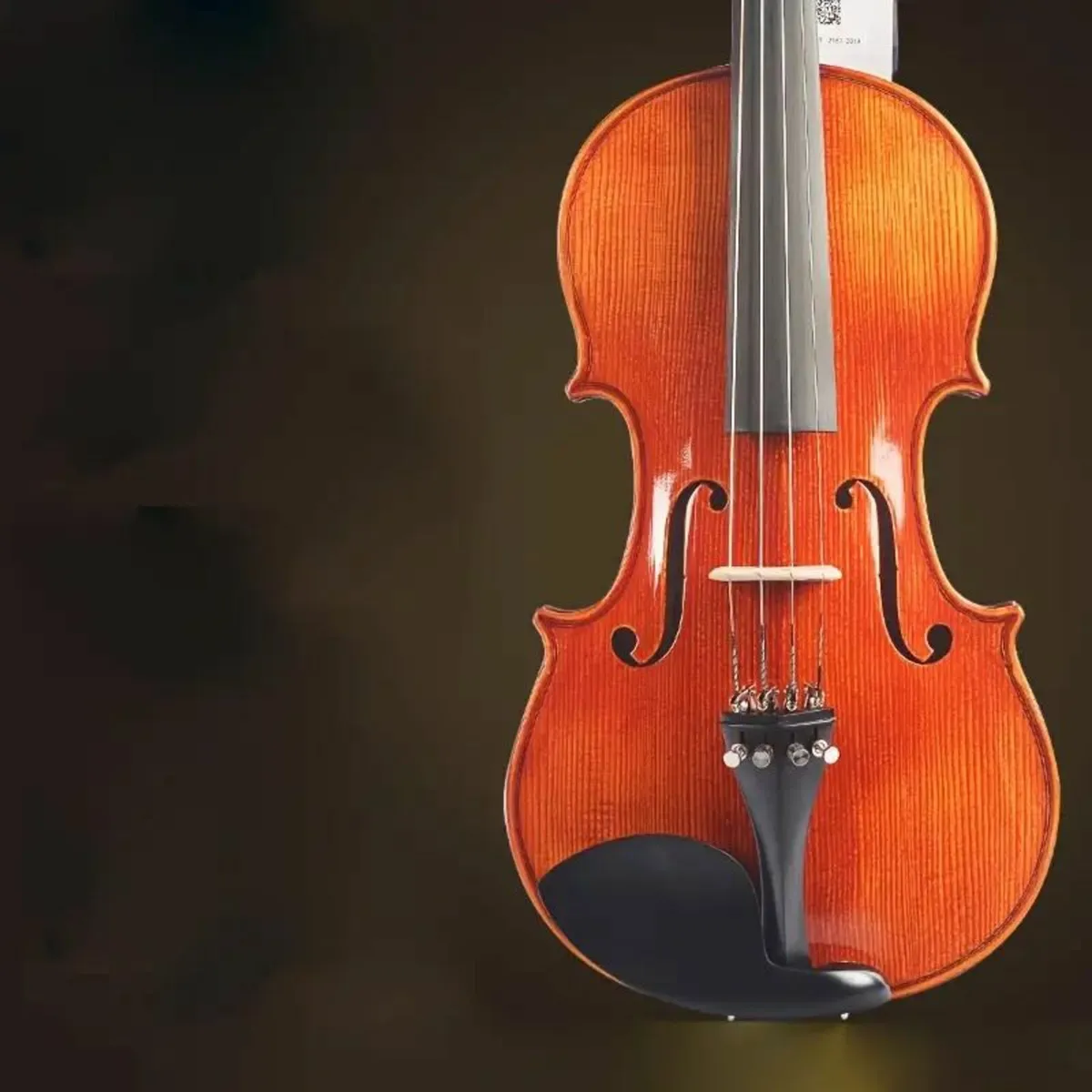 Professional Performance-Level Violin - Image 2
