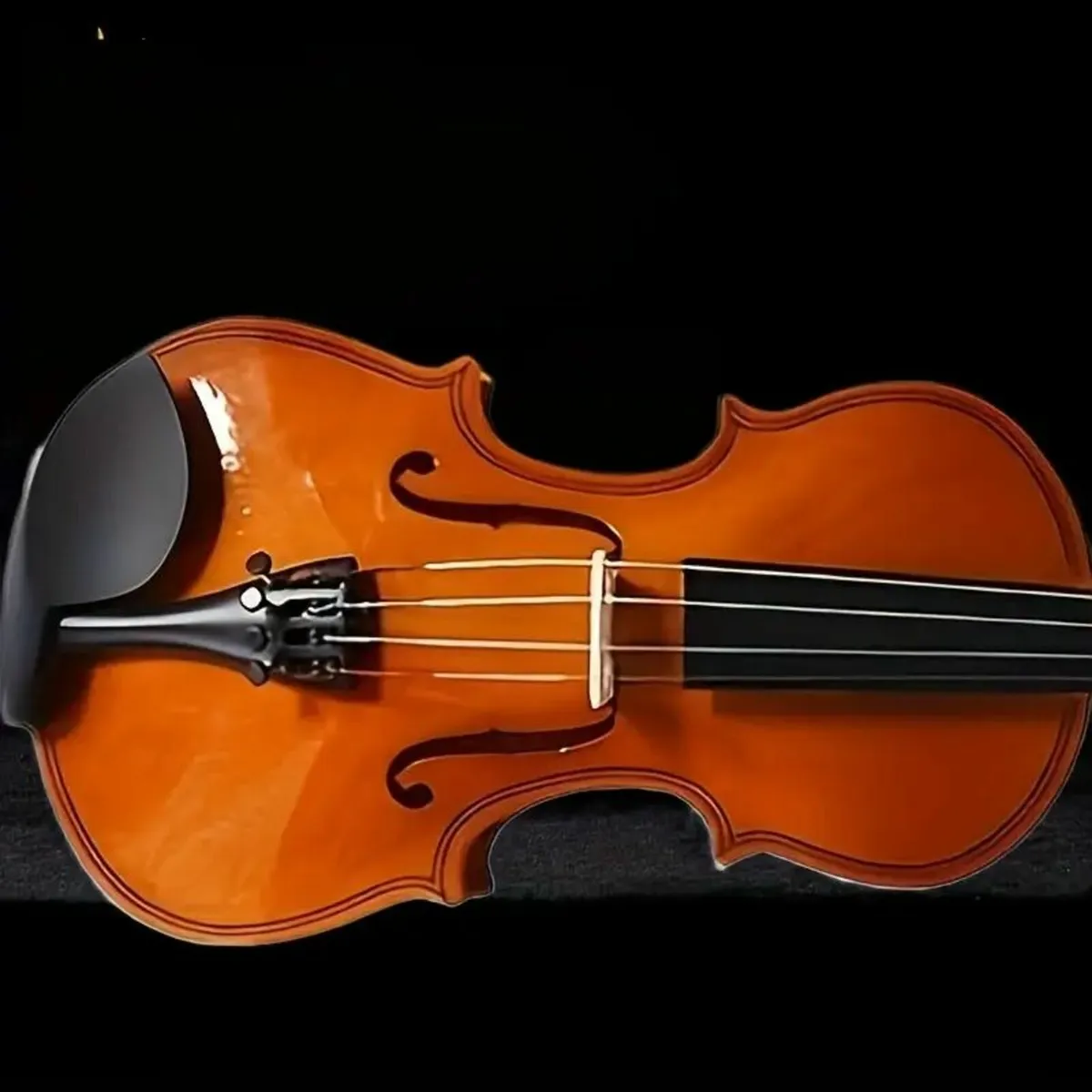 Professional Performance-Level Violin - Image 3
