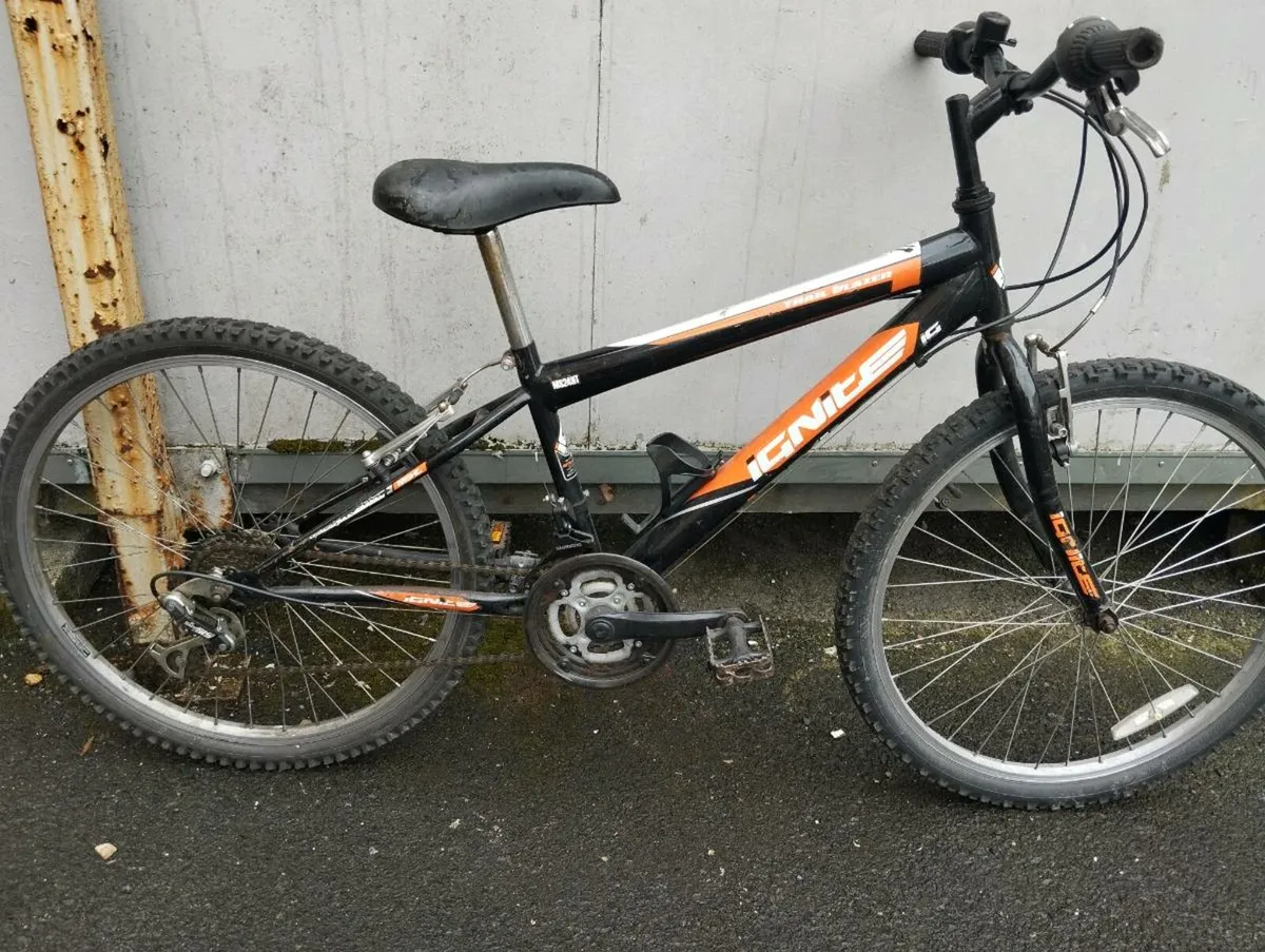 Boys 24inch bike - Image 1