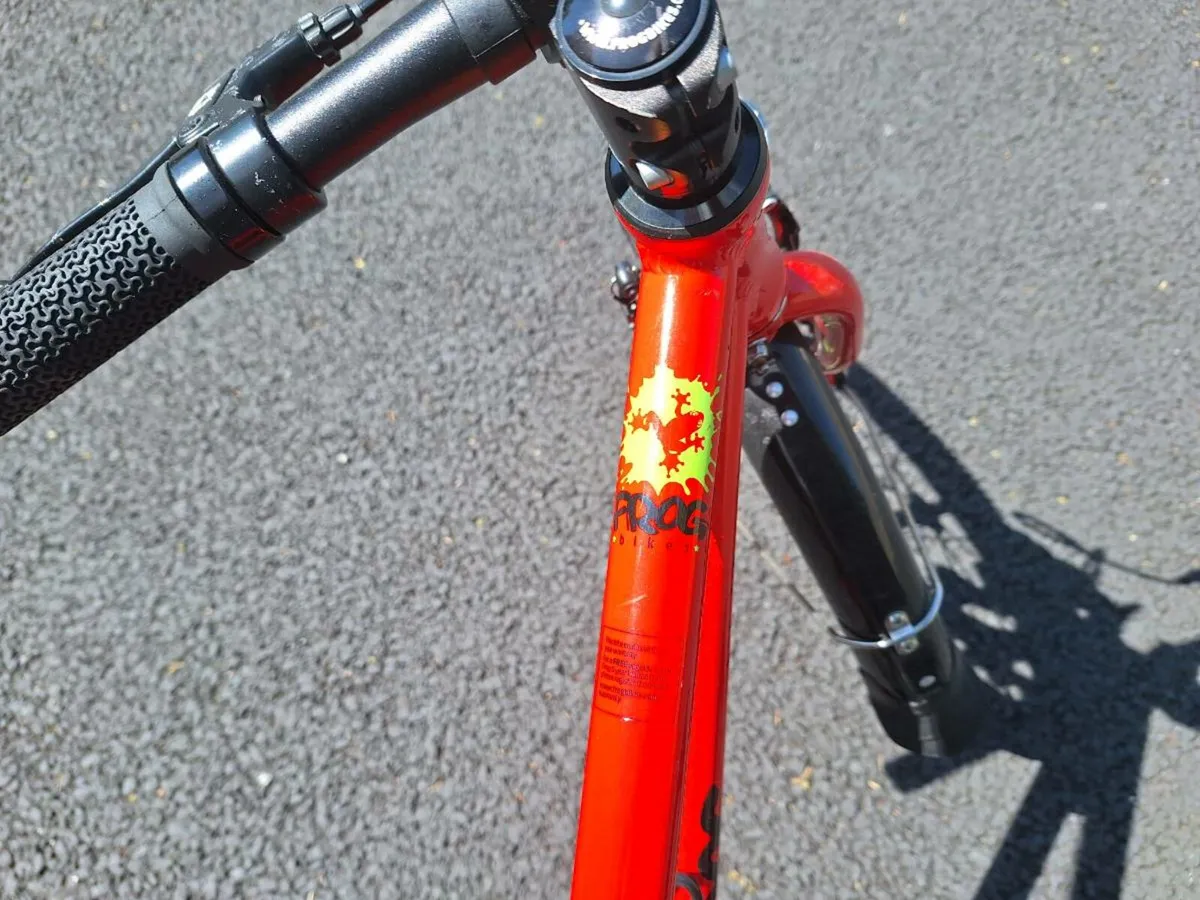 Frog bike for sale - Image 3